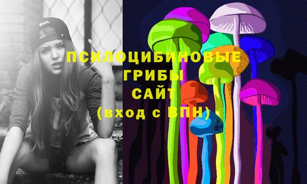 винт Алексин