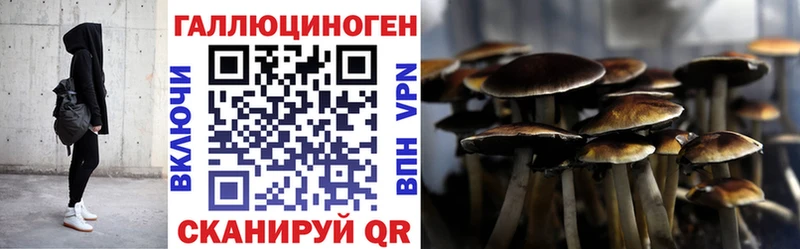 Псилоцибиновые грибы мухоморы  купить закладку  Ивдель 